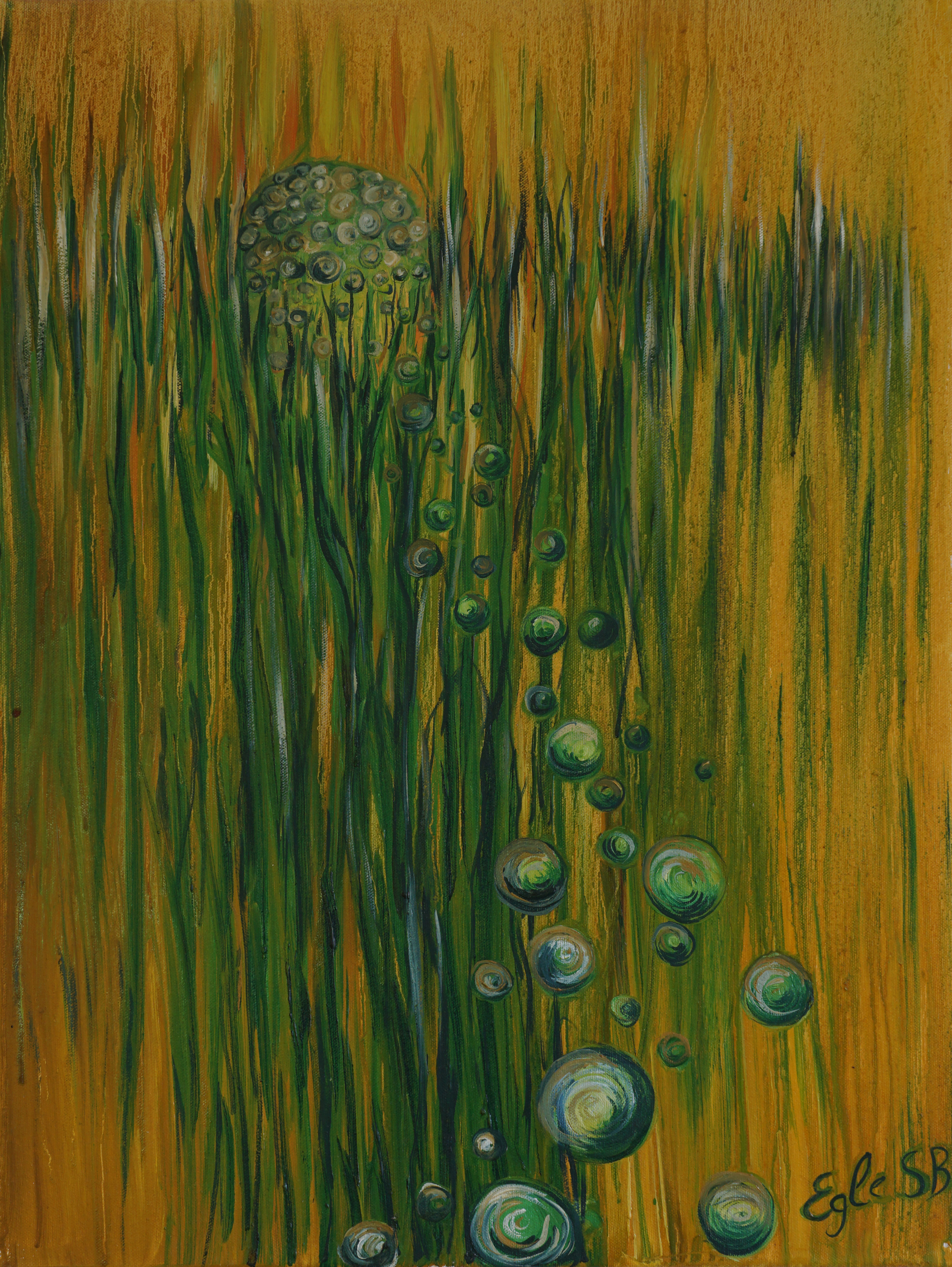 13 The Path Through the Reeds