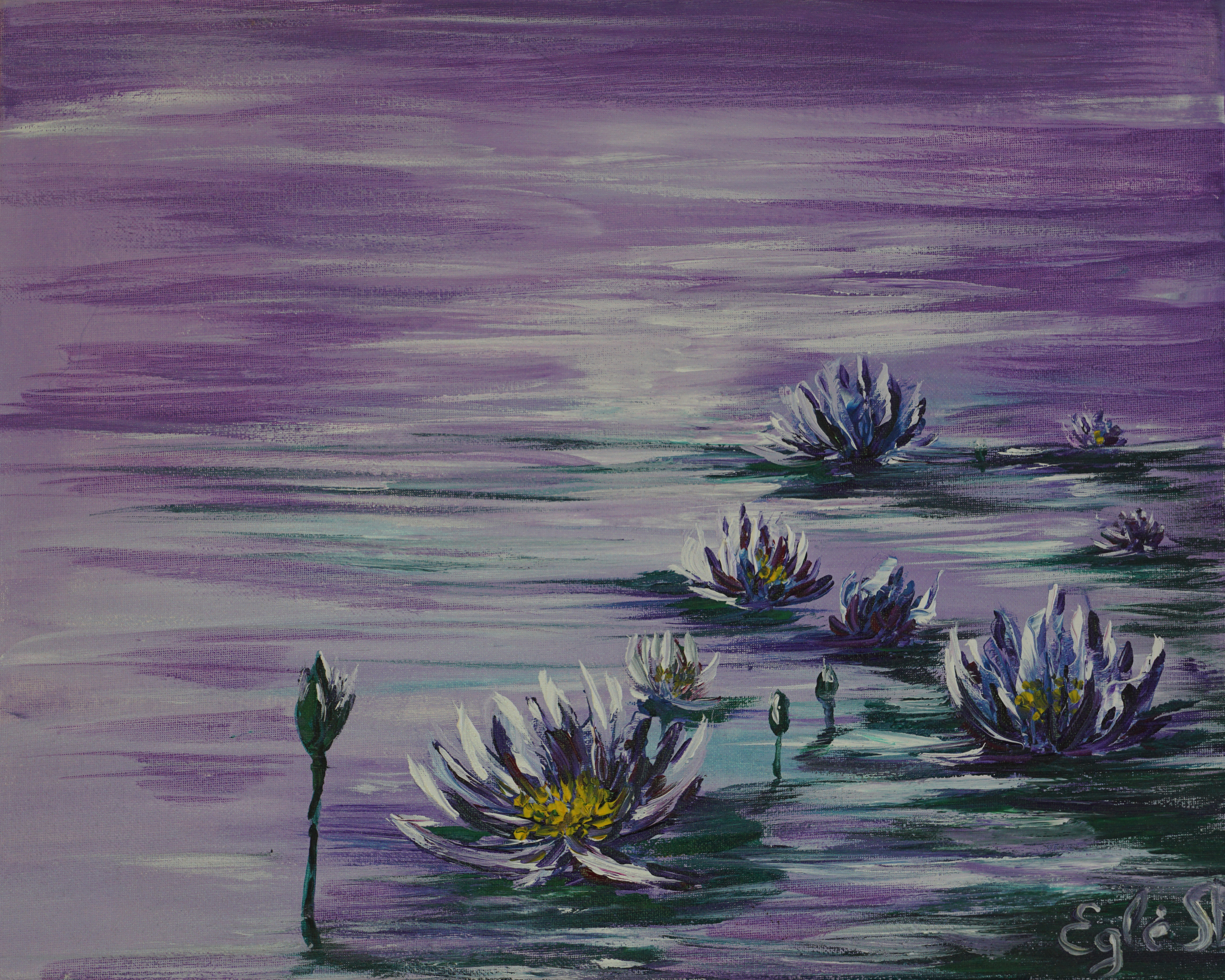 15 Water Lilies