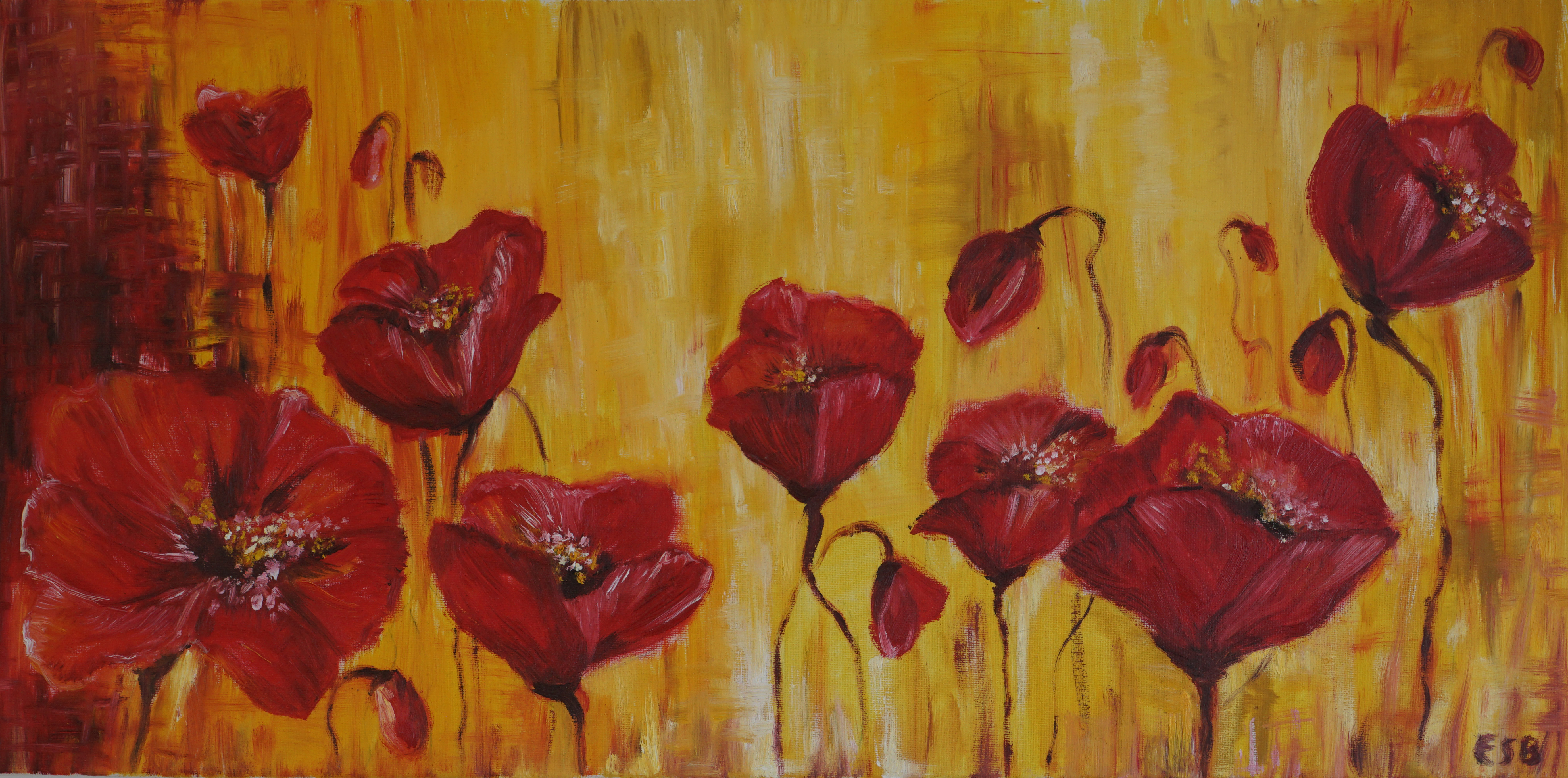 25 Poppies in the Sunlight