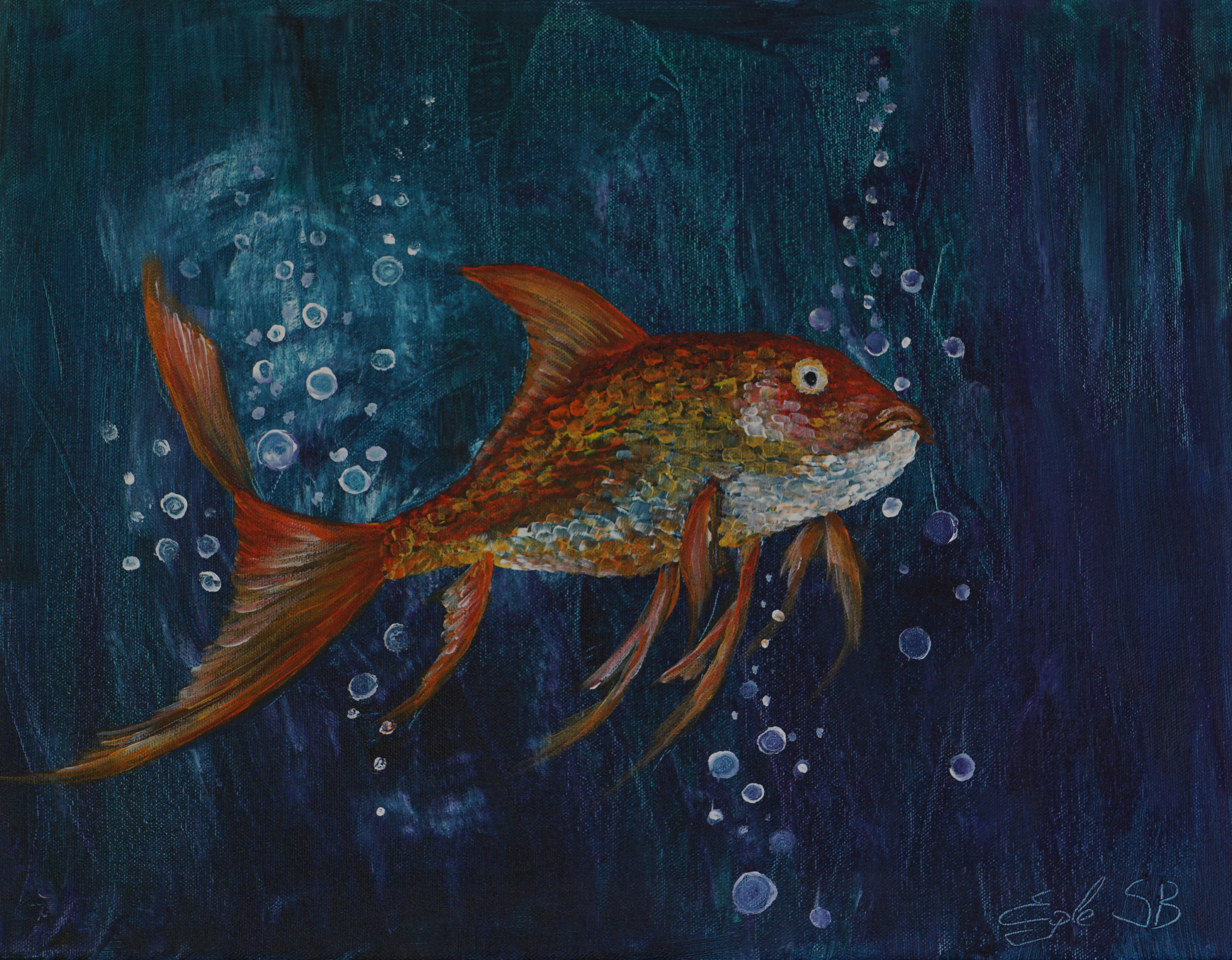 26 Thinking Fish