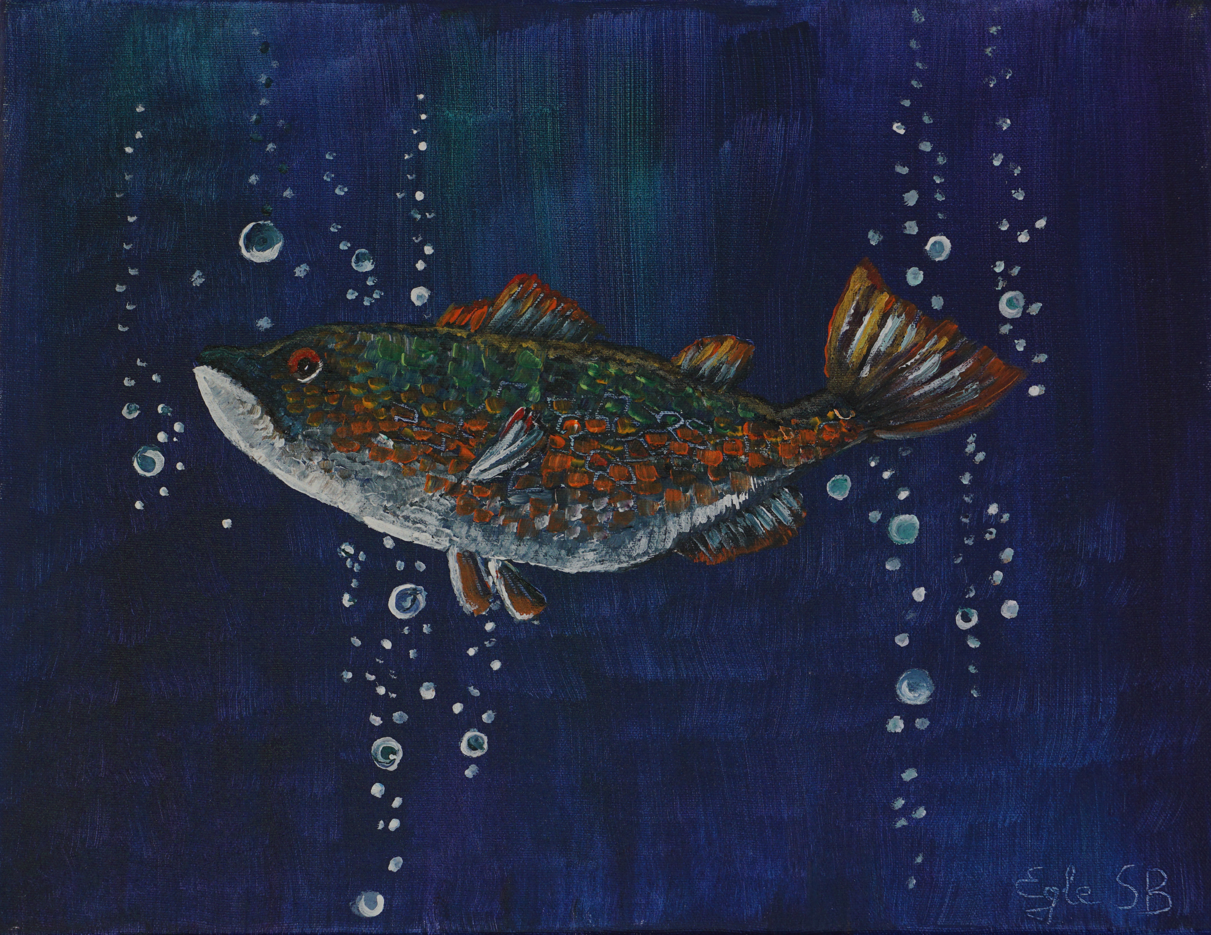 27 Fish is Dreaming