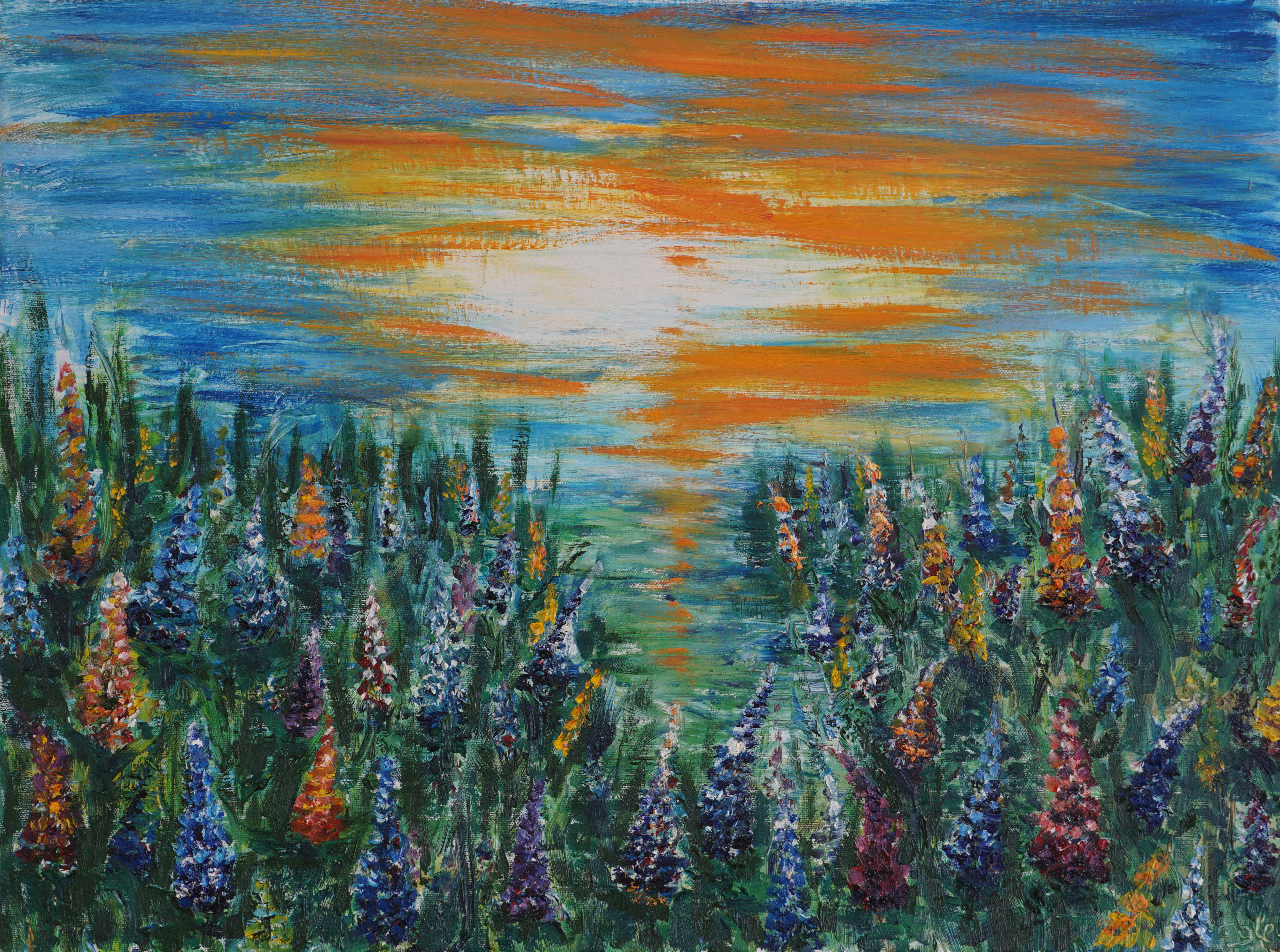 31 Calm in Lupines